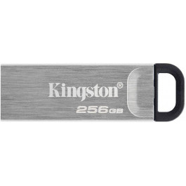   Kingston 256 GB DataTraveler Kyson (DTKN/256GB)