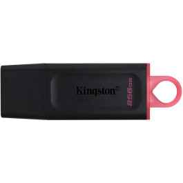   Kingston 256 GB DataTraveler Exodia (DTX/256GB)