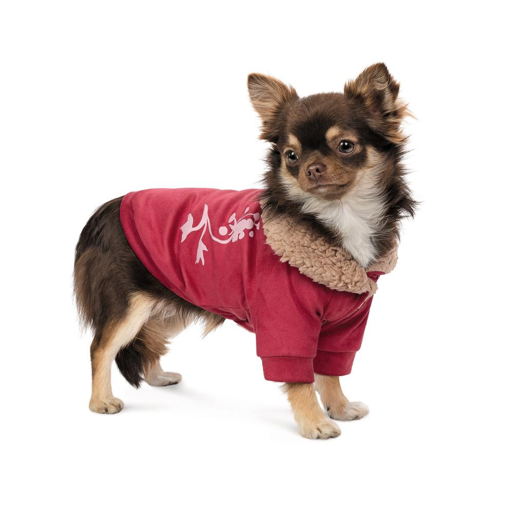 Pet Fashion Кардиган для собак  Garcia XS (PR243595) - зображення 1