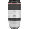 Canon RF 100-500mm f/4,5-7,1 L IS USM (4112C005) - зображення 2