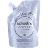 ECHOSLINE Тонуюча маска для волосся  Color Up Colouring Conditioning Mask Icy Glam крижаний гламур 150 мл (800 - зображення 1