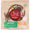 Purina One Mini Active 1,5 кг (8445290348265) - зображення 2