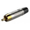 Roxtone RF2CS-NG RCA male (тато) - зображення 1