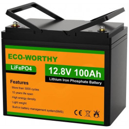   Eco-Worthy ECO-LFP12100