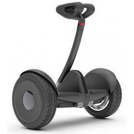   Segway Ninebot S Black (23.03.0000.11)