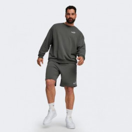   PUMA Сірий чоловічий спортивний костюм  Relaxed Sweat Suit 673308/80