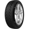 Starmaxx PolarMaxx (195/65R15 91H) - зображення 1