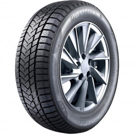   Sunny Tire NW211 (205/55R17 95V)