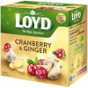 Loyd Чай фруктовий  Oyd Cranberry&Ginger, журавлина імбир, в пірамідках, 40 г, 3103566 (5900396023056) - зображення 1