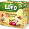 Loyd Чай фруктовий  Oyd Cranberry&Ginger, журавлина імбир, в пірамідках, 40 г, 3103566 (5900396023056) - зображення 3