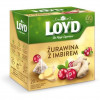 Loyd Чай фруктовий  Oyd Cranberry&Ginger, журавлина імбир, в пірамідках, 40 г, 3103566 (5900396023056) - зображення 4