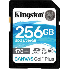   Kingston 256 GB SDXC class 10 UHS-I U3 Canvas Go! Plus SDG3/256GB