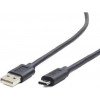 Cablexpert CCP-USB2-AMCM-1M - зображення 1