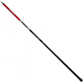   Brain Classic Pole / 4.00m