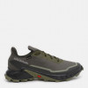 Salomon Чоловічі кросівки для бігу з Gore-Tex  Alphacross 5 Gtx L47310300 47.5 (12UK) 30.5 см Хакі (19575141 - зображення 1