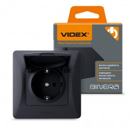   VIDEX Binera (VF-BNSK1GС-BG)