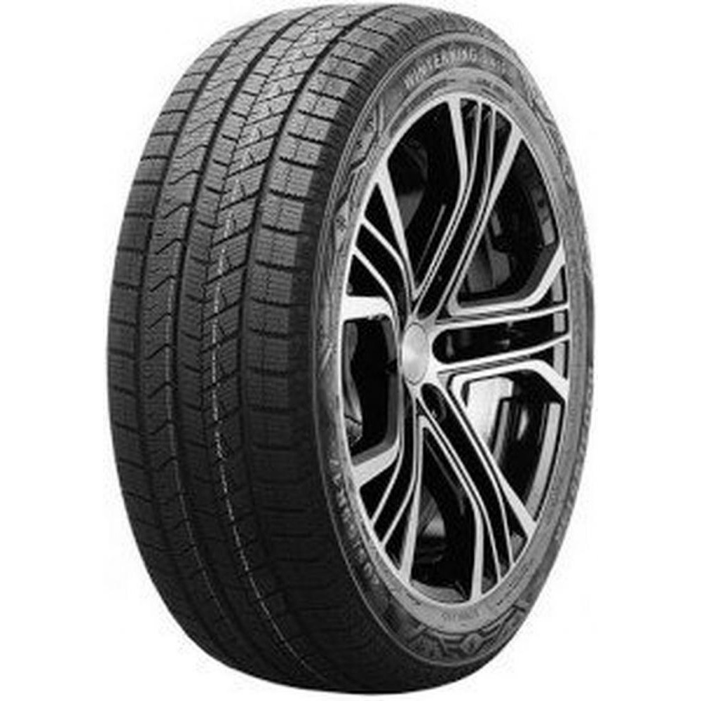 DoubleStar WINTERKING DW16 (235/50R20 100T) - зображення 1