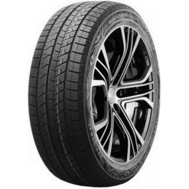   DoubleStar WINTERKING DW16 (205/55R17 95T)