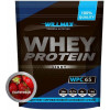 Willmax Whey Protein Light 65% 1000 g /25 servings/ Шоколад Лесной орех (wx215) - зображення 1