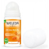 Weleda Дезодорант  Облепиха Roll-On 24 часа 50 мл (4001638502399) - зображення 2