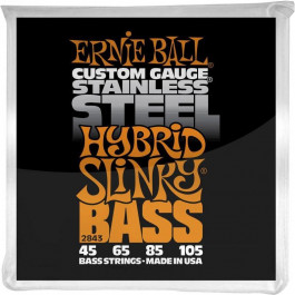 Ernie Ball P02843