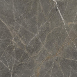   Golden Tile Stone Roots brown SO7520 60x60 см (SO7520)