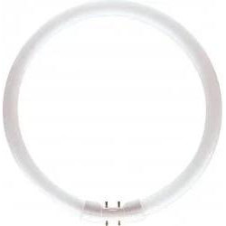   Philips MASTER TL5 Circular 60W/840 1CT/10 (927966084013)