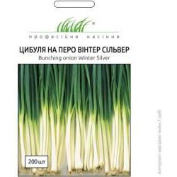 Професійне насіння Семена  лук-резанец Винтер Силвер 200 шт. (4823058208640) - зображення 1