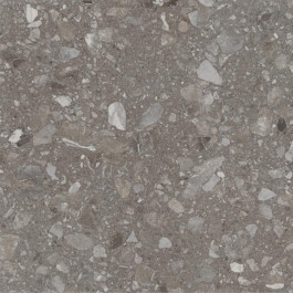   Allore Group Terra Greige F P R Mat (57,6) 60x60