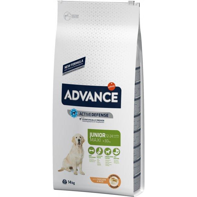 Advance Junior Maxi - зображення 1