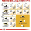 Royal Canin Siamese Adult 10 кг (2551100) - зображення 3