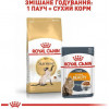 Royal Canin Siamese Adult 10 кг (2551100) - зображення 5