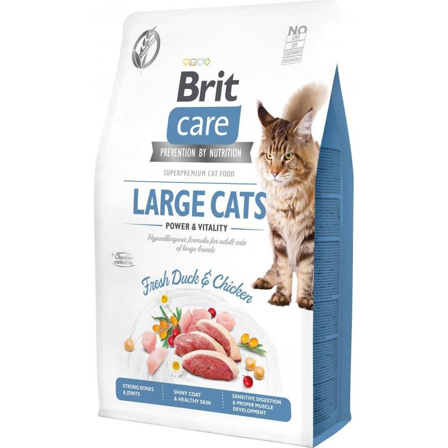 Brit Care Large cats Power & Vitality 2 кг (171310/0914) - зображення 1