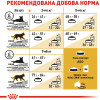 Royal Canin Bengal Adult 10 кг (4370100) - зображення 3