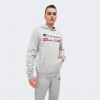 Champion Сіра чоловіча кофта  hooded sweatshirt cha220245-NOXM/NBK L сірий - зображення 1