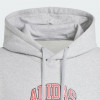 Adidas Світло-сіра чоловіча кофта  VRCT HOODED 1 IX6770 XL світло-сірий - зображення 6