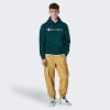 Champion Зелена чоловіча кофта  hooded sweatshirt cha220253-HLG M зелений - зображення 3