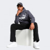 PUMA Темно-сіра чоловіча кофта  ESS Big Logo Hoodie FL (s) 586687/23 L темно-сірий - зображення 3