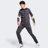 PUMA Темно-сіра чоловіча кофта  EVOSTRIPE Full-Zip Hoodie DK 681700/69 XL темно-сірий - зображення 3