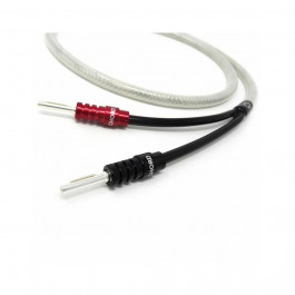   Chord ClearwayX Speaker Cable 2.5m terminated pair