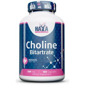 Haya Labs Choline Bitartrate 500 мг Бітартрат Холіну 100 капсул - зображення 1