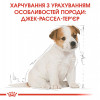 Royal Canin Puppy Jack Russell Terrier 1,5 кг (2101015) - зображення 7