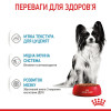 Royal Canin Puppy X-small 85 г (1593001) - зображення 3