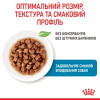 Royal Canin Puppy X-small 85 г (1593001) - зображення 4