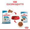 Royal Canin Puppy X-small 85 г (1593001) - зображення 7