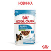 Royal Canin Puppy X-small 85 г (1593001) - зображення 9