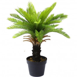   Engard Штучна рослина  Cycas Palm, 60 см (DW-24)