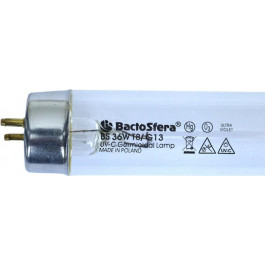   BactoSfera BS 36W T8/G13