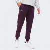 PUMA Сливові чоловічі спортивнi штани  MAPF1 ESS Pants 627346/08 XXL сливовий - зображення 1