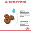 Royal Canin Maxi Starter 4 кг (2994040) - зображення 8